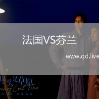 法国VS芬兰