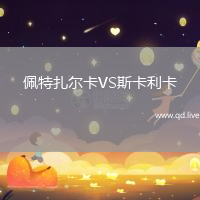 佩特扎尔卡VS斯卡利卡