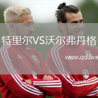 特里尔VS沃尔弗丹格