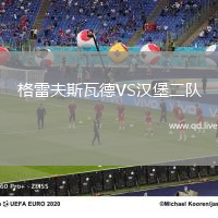 格雷夫斯瓦德VS汉堡二队