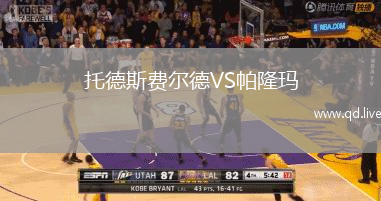 托德斯费尔德VS帕隆玛