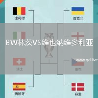 BW林茨VS维也纳维多利亚