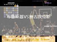 布鲁斯基VS费古埃伦斯