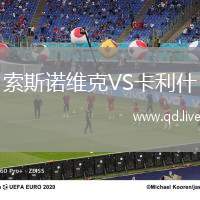 索斯诺维克VS卡利什