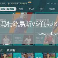 马特路易斯VS伯克尔