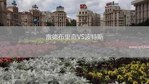 雷德布里奇VS波特斯