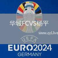 华城FCVS杨平