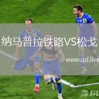 纳马普拉铁路VS松戈