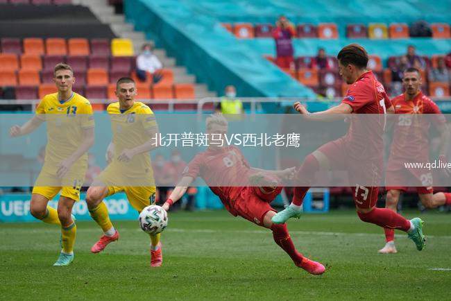 北开普斑马VS西北老鹰