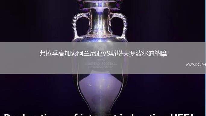 弗拉季高加索阿兰尼亚VS斯塔夫罗波尔迪纳摩