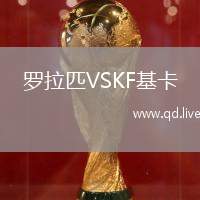 罗拉匹VSKF基卡