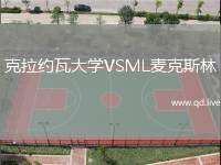 克拉约瓦大学VSML麦克斯林