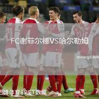 FC谢菲尔德VS哈尔勒姆