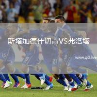 斯塔加德什切青VS弗洛塔