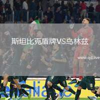 斯坦比克盾牌VS乌林兹