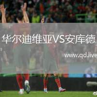华尔迪维亚VS安库德