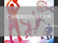 广州蜀地红VSGBC大班