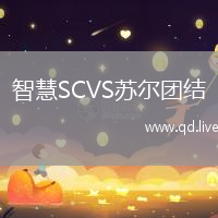 智慧SCVS苏尔团结