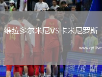 维拉多尔米尼VS卡米尼罗斯